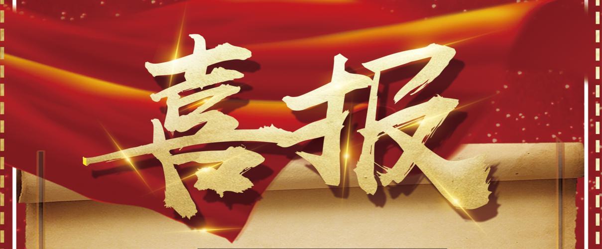 企业站智能镜像站群系统2025